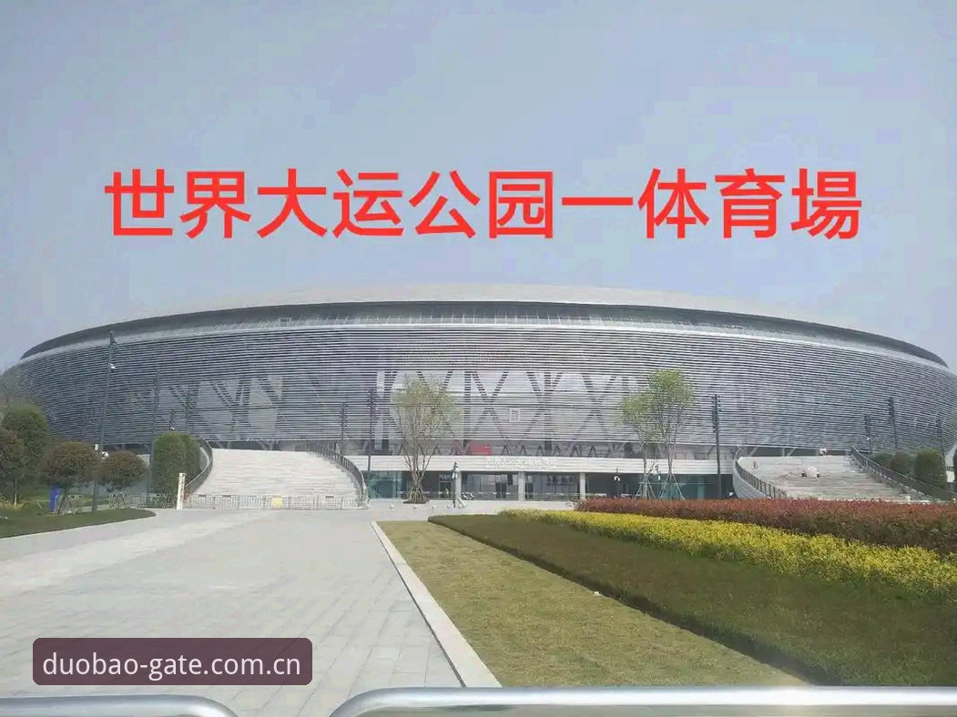 多宝体育平台深度评测：从下载到使用的完整体验报告